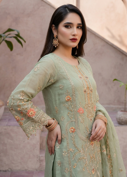 Embroidered Pistachio Organza Party Wear Suit Online in Sri Lanka India Australia