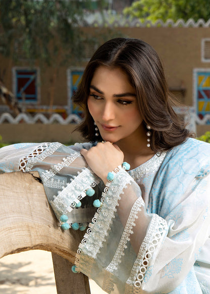 Embroidered Raw Silk Festive Wear Suit Online in Dubai DXB UAE Abudhabi Meena Bazaar