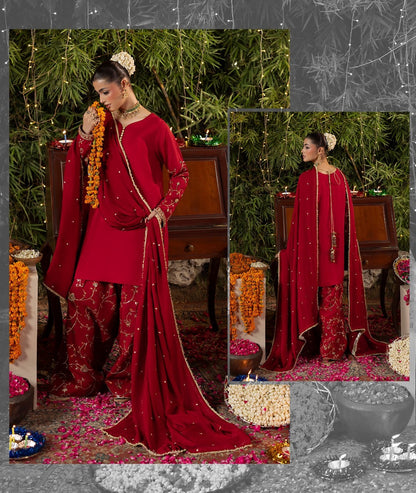 Embroidered Raw Silk Salwar Kameez Online in Sri Lanka India Australia