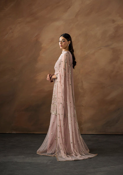 Embroidered Raw Silk Trouser Suit Online in Sri Lanka India Australia