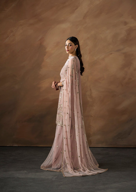 Embroidered Raw Silk Trouser Suit Online in Sri Lanka India Australia