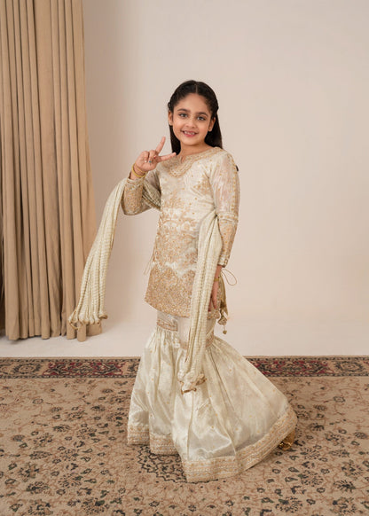 Embroidered Tissue Gharara Party Wear Online in Dubai DXB UAE Abudhabi Meena Bazaar