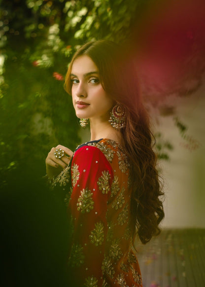 Festive Embroidered Chiffon Raw Silk Dress Material Online in Sri Lanka India Australia