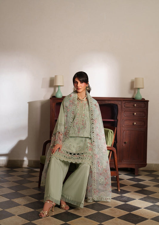 Festive Embroidered Organza Suit for Women Online in Sri Lanka India Australia