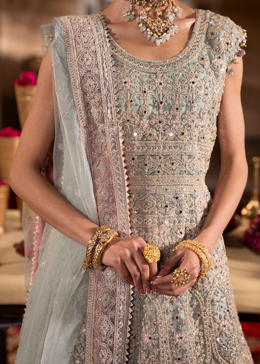 Festive Light Blue Net Sharara Suit Online in Sri Lanka India Australia