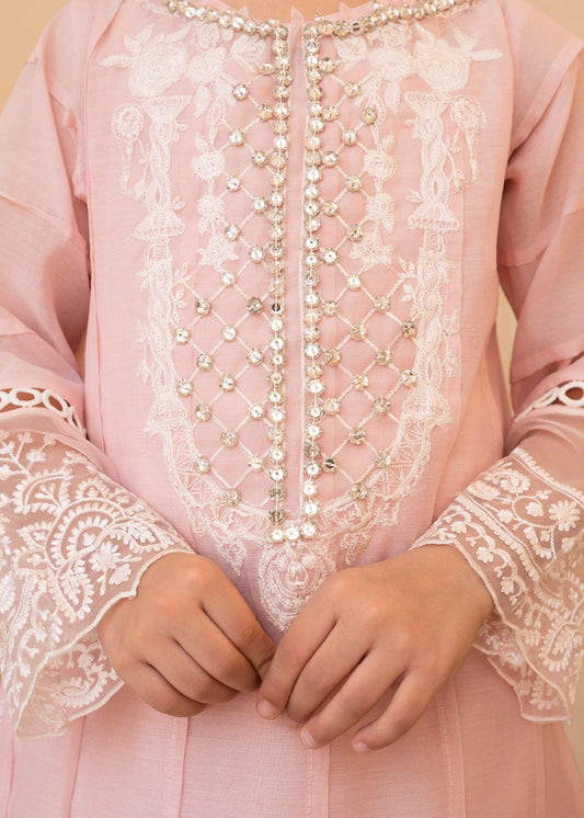 Festive Pink Embroidered Suit Online in Sri Lanka India Australia
