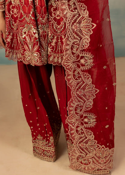 Festive Red Raw Silk Farshi Shalwar Kameez Online in Sri Lanka India Australia