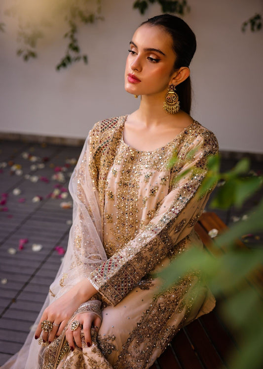 Festive Wear Beige Chiffon Straight Kurta Online in Dubai DXB UAE Abudhabi Meena Bazaar