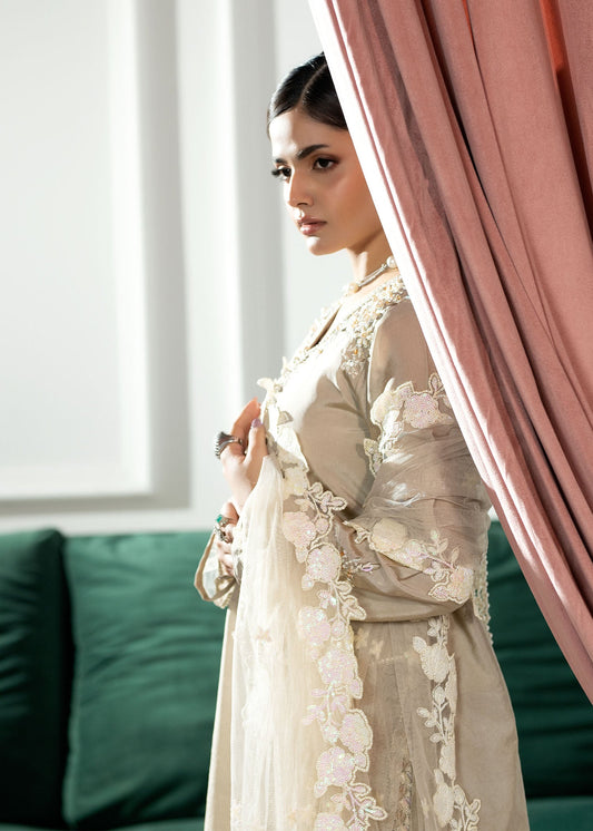 Festive Wear Beige Silk Net Suit with Embroidery Online in Sri Lanka India Australia