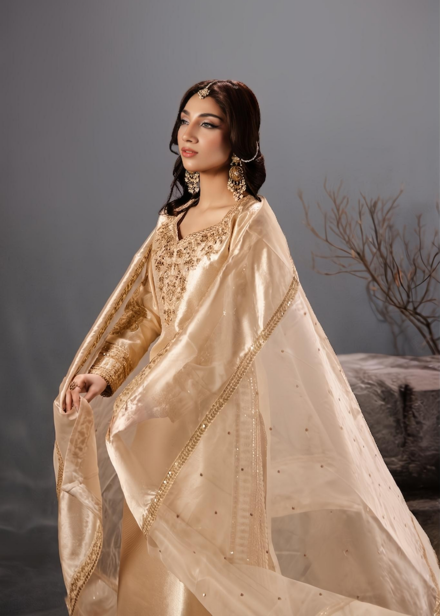 Festive Wear Embroidered Tissue Suit Online in Dubai DXB UAE Abudhabi Meena Bazaar