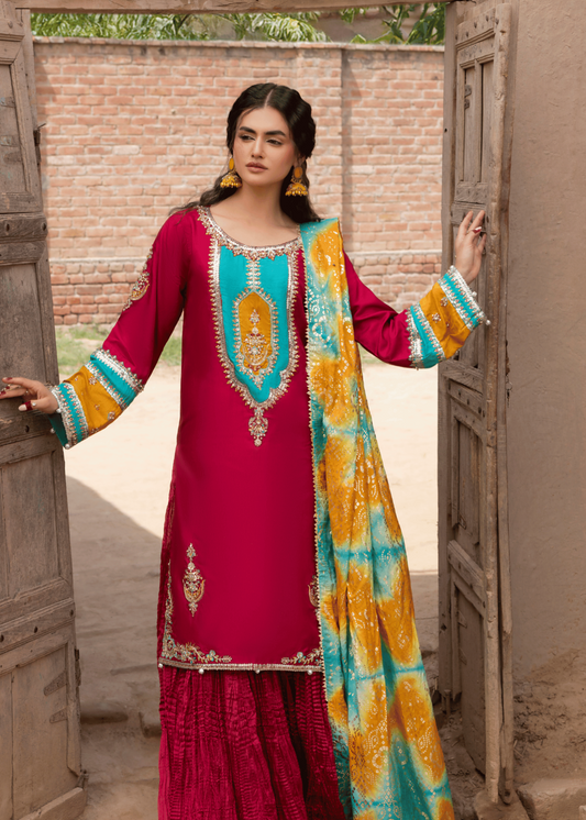 Festive Wear Fuchsia Embroidered Silk Sharara Online in Sri Lanka India Australia
