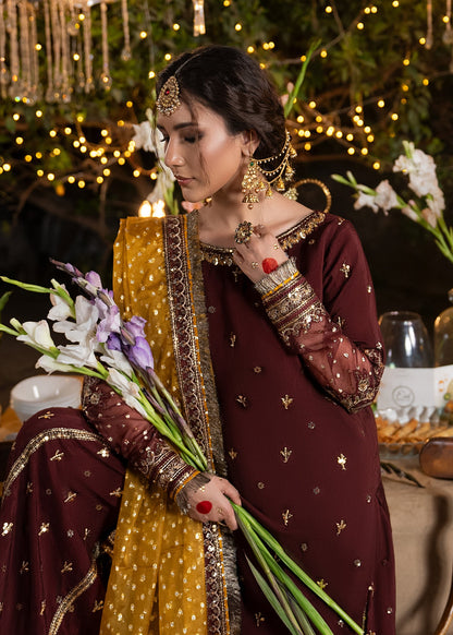 Festive Wear Maroon Raw Silk Sharara Dupatta Online in Sri Lanka India Australia