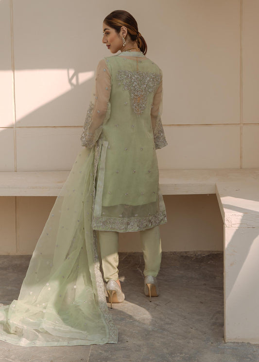 Festive Wear Mint Green Organza Suit with Tilla Work Online in Sri Lanka India Australia