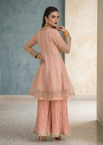 Festive Wear Peach Embroidered Gharara Online in Sri Lanka India Australia