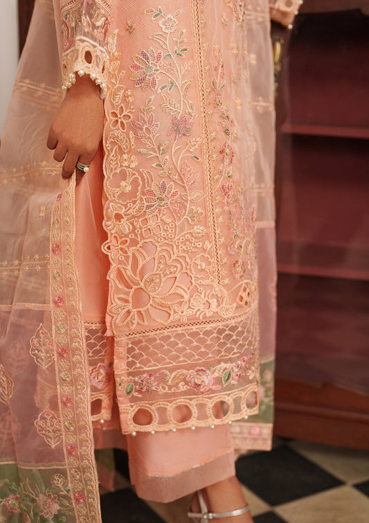Festive Wear Peach Pink Organza Salwar Kameez Online in Sri Lanka India Australia