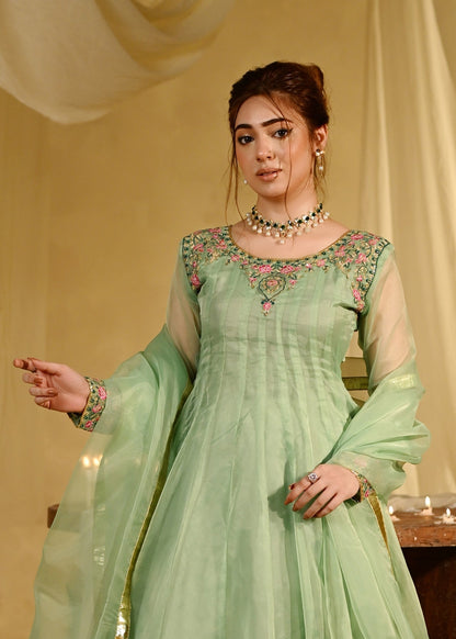 Festive Wear Pistachio Embroidered Organza Pishwas Online in Sri Lanka India Australia