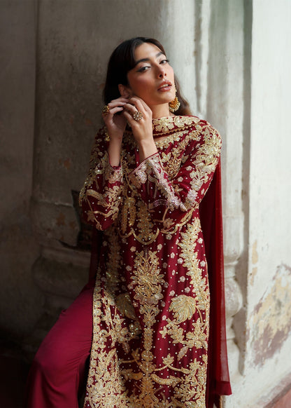 Fire Red Chiffon Ladies Suit Online in UK USA Canada