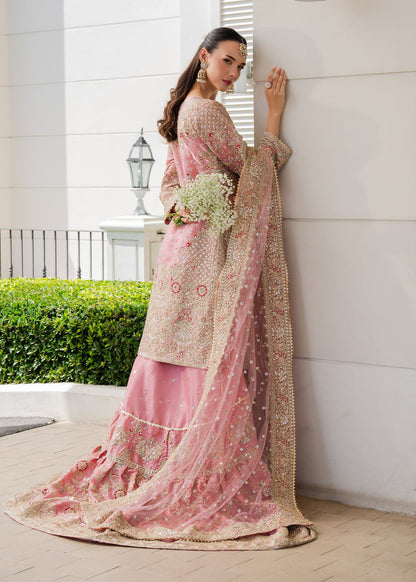 Formal Blush Pink Gold Embroidered Silk Suit Online in Sri Lanka India Australia