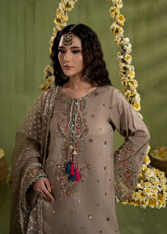 Formal Brown Raw Silk Suit with Bell Bottom Online in Sri Lanka India Australia