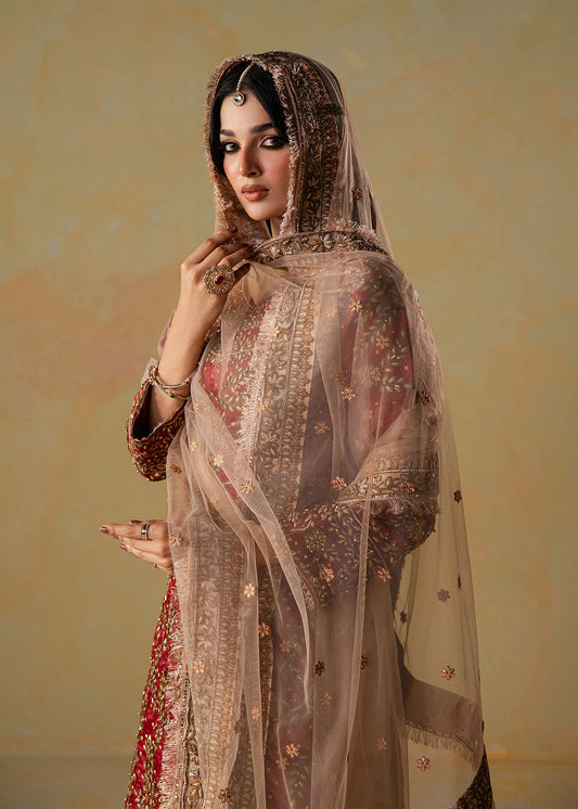 Formal Embroidered Silk Gharara for Women Online in Sri Lanka India Australia