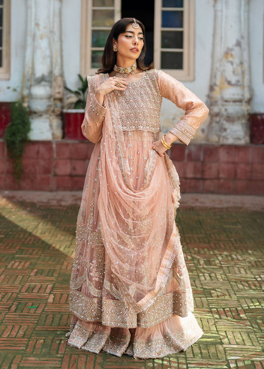 Formal Net Maxi Suit Baby Pink Online in Dubai DXB UAE Abudhabi Meena Bazaar