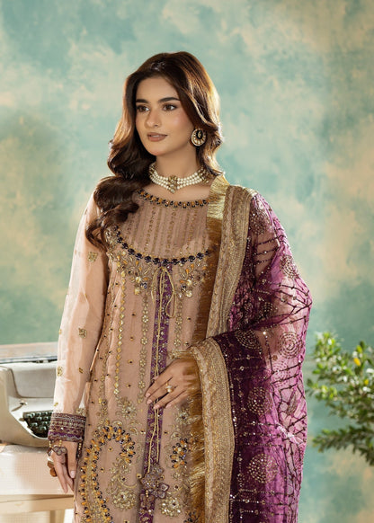 Formal Peach Net Embroidered Salwar Suit Online in Dubai UAE Abudhabi Ajman Sharjah