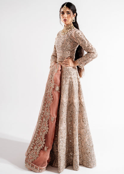 Formal Pink Embellished Chiffon Gharara Online in Sri Lanka India Australia