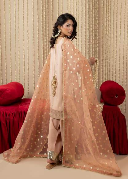 Formal Wedding Guest Wear Peach Farshi Shalwar Online in Sri Lanka India Australia