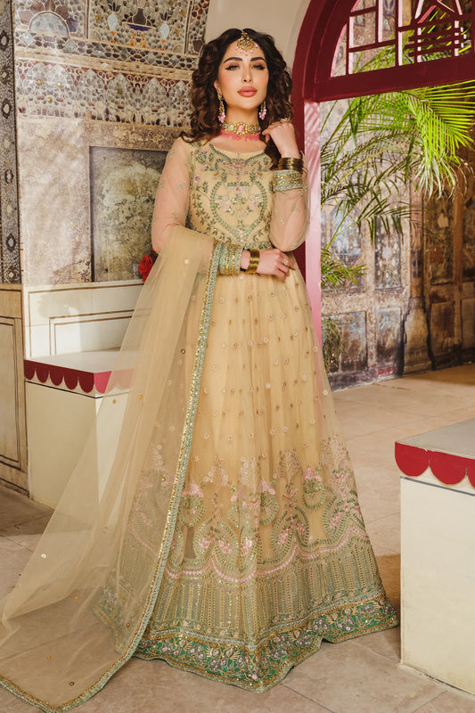 Sequins Embroidered Net Anarkali