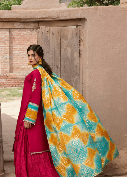 Fuchsia Silk Sharara with Heavy Embroidery Online in KSA Riyadh Saudi Arabia Oman Bahrain Qatar