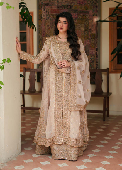 Gold Chiffon Embellished Wedding Suit Online in Dubai DXB UAE Abudhabi Meena Bazaar