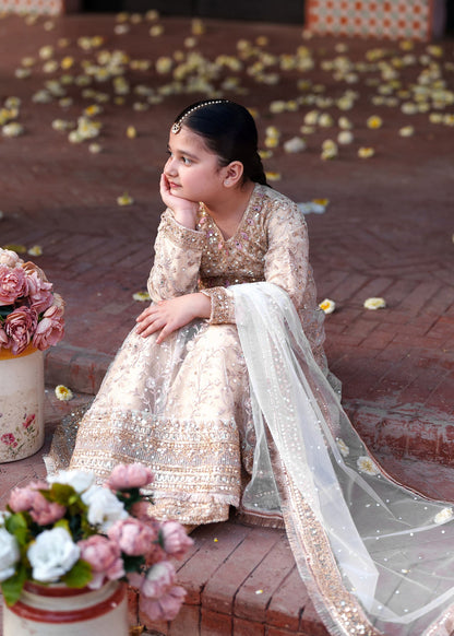 Gold Embellished Net Kids Suit Online in Dubai DXB UAE Abudhabi Meena Bazaar
