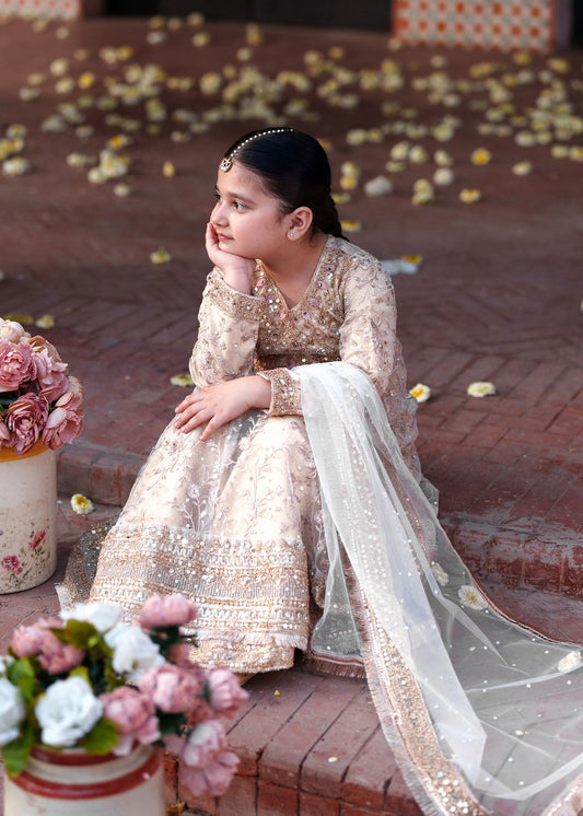 Gold Embellished Net Kids Suit Online in Dubai DXB UAE Abudhabi Meena Bazaar