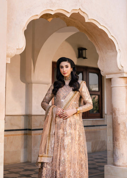 Gold Zari Work Net Pishwas Suit Online in Sri Lanka India Australia