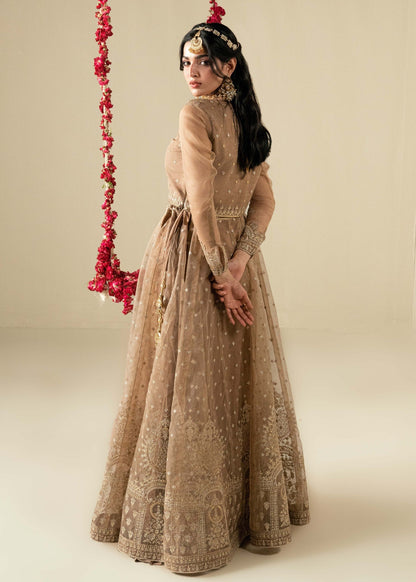 Golden Brown Wedding Guest Lehenga Choli Online in Dubai DXB UAE Abudhabi Meena Bazaar