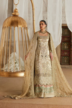 Golden Multi Hand Embroidered Chiffon Bridal Suit Online in Dubai UAE Abudhabi Ajman Sharjah