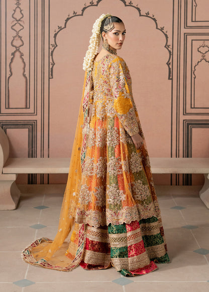 Golden Orange Formal Net Sharara Suit Online in Dubai UAE Abudhabi Ajman Sharjah