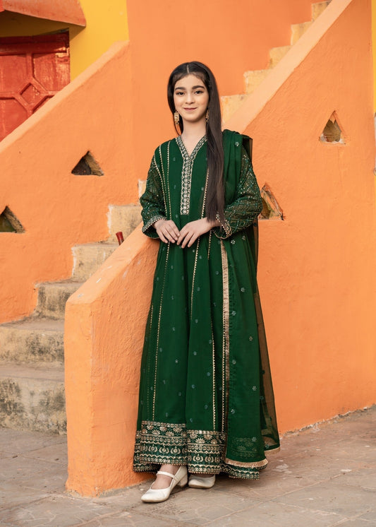 Green Chiffon Sequence Work Maxi Dress Online in Sri Lanka India Australia