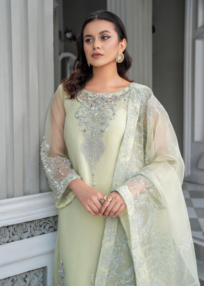 Green Embellished Organza 3 Piece Suit Online in Dubai DXB UAE Abudhabi Meena Bazaar