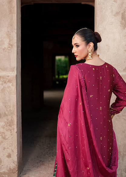 Handcrafted Deep Carmine Silk Pakistani Outfit Online in Sri Lanka India Australia
