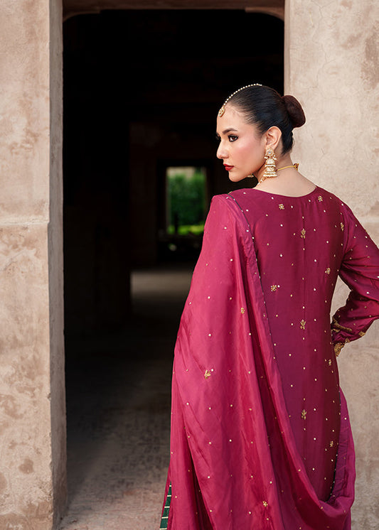 Handcrafted Deep Carmine Silk Pakistani Outfit Online in Sri Lanka India Australia