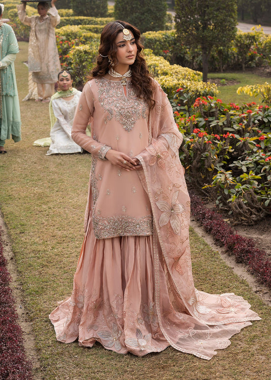 Heavy Embellished Organza Wedding Suit Online in Dubai DXB UAE Abudhabi Meena Bazaar