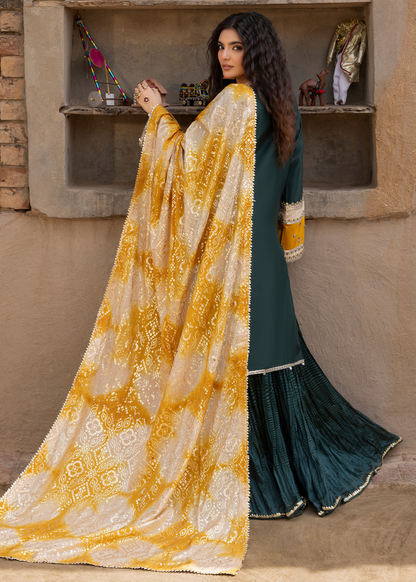 Heavy Embroidered Raw Silk Sharara Suit Online in Dubai UAE Abudhabi Ajman Sharjah