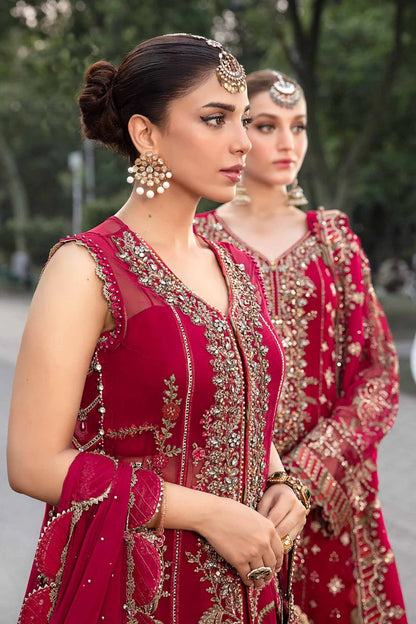 Hot Pink Embroidered Chiffon Suit