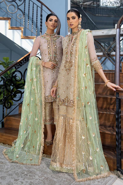 Hand Embroidered Pure Organza Suit