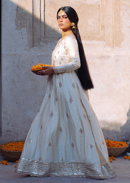 Ivory Silver Blush Embroidered Charmuse Dress Online in Sri Lanka India Australia