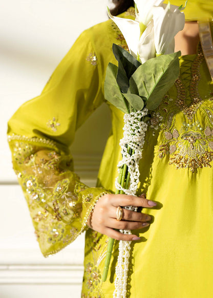 Key Lime Designer Silk Festive Suit Online in Sri Lanka India Australia