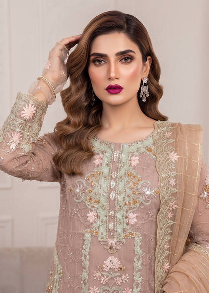 Ladies Almond Brown Embroidered Organza Salwar Kameez Online in Dubai UAE Abudhabi Ajman Sharjah