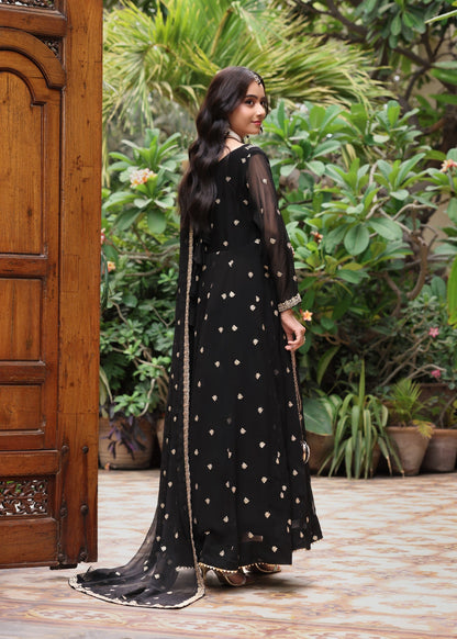 Ladies Black Embroidered Party Wear Pishwas Online in UK USA Canada