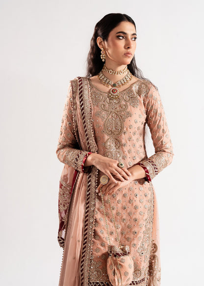 Ladies Embellished Blush Pink Sharara Suit Online in UK USA Canada